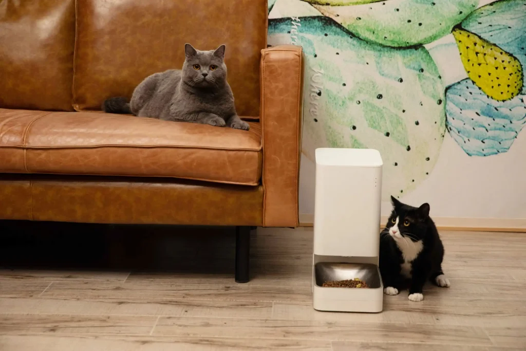 Xiaomi Smart Pet Feeder y Xiaomi Smart Pet Fountain