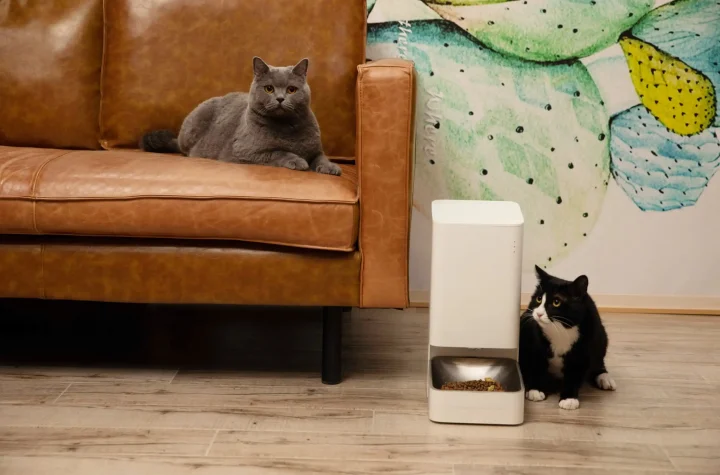 Xiaomi Smart Pet Feeder y Xiaomi Smart Pet Fountain