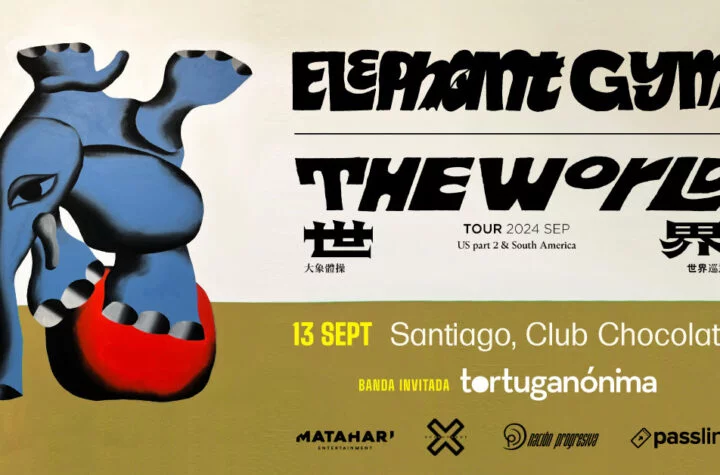 Tortuganónima