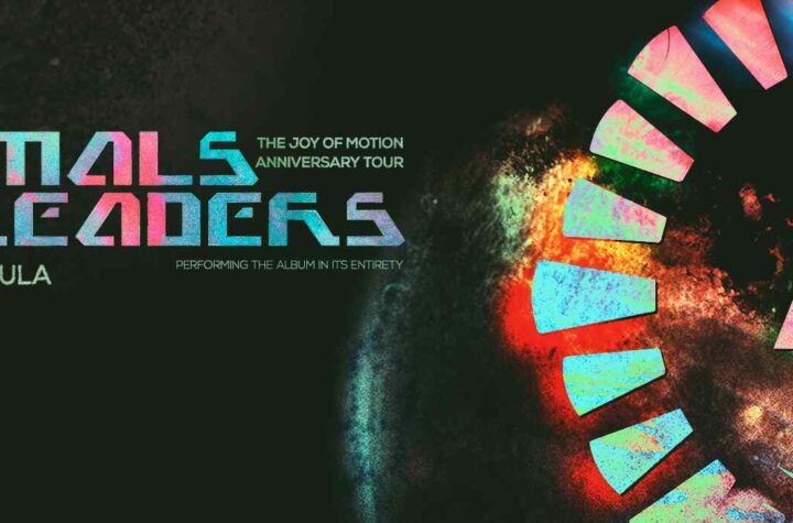 Animals as Leaders