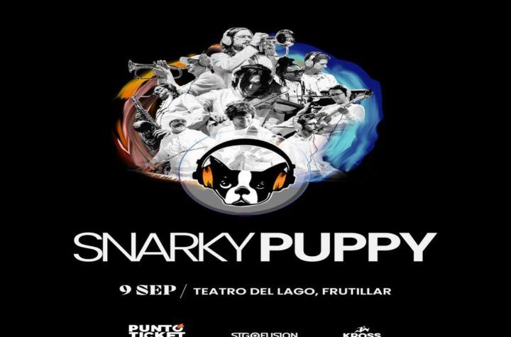 Snarky Puppy
