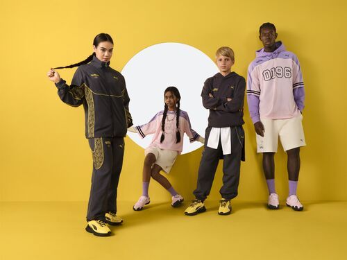 Puma y Pokémon
